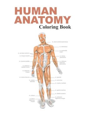 portada Human Anatomy Coloring Book: The Anatomy Coloring Book (en Inglés)