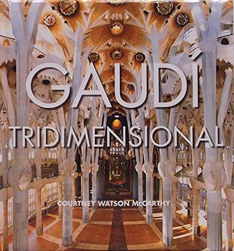portada Gaudí Tridimensional