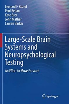 portada Large-Scale Brain Systems and Neuropsychological Testing: An Effort to Move Forward (Springerbriefs in Neuroscience) (en Inglés)