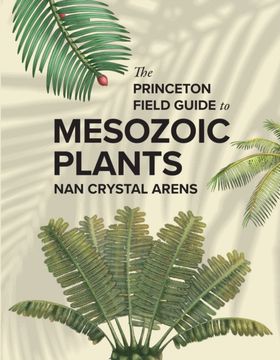 portada The Princeton Field Guide to Mesozoic Plants