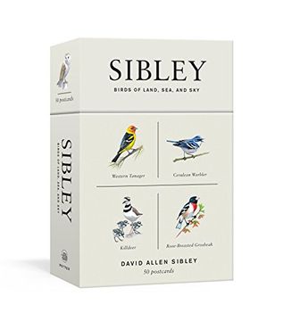portada Sibley Birds of Land, Sea, and Sky: 50 Postcards (en Inglés)