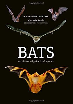 portada Bats: An Illustrated Guide to all Species (en Inglés)
