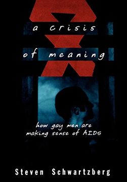 portada A Crisis of Meaning: How gay men are Making Sense of Aids (en Inglés)