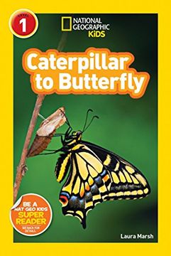 portada Caterpillar to Butterfly 