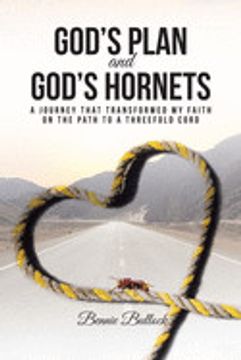 portada God's Plan and God's Hornets: A Journey That Transformed my Faith on the Path to a Threefold Cord (in English)