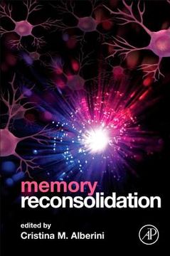 portada memory reconsolidation (in English)