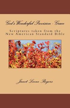 portada god's wonderful provision - grace (en Inglés)
