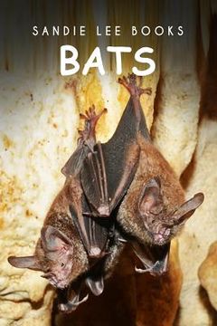 portada Bats - Sandie Lee Books (en Inglés)