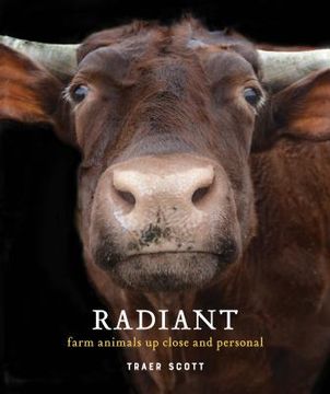 portada Radiant: Farm Animals up Close and Personal (en Inglés)