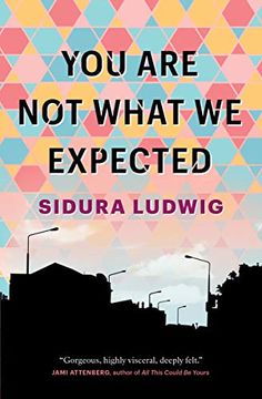portada You are not What we Expected (in English)