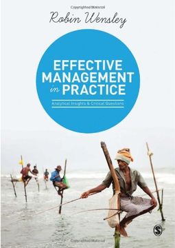 portada Effective Management in Practice: Analytical Insights and Critical Questions (en Inglés)