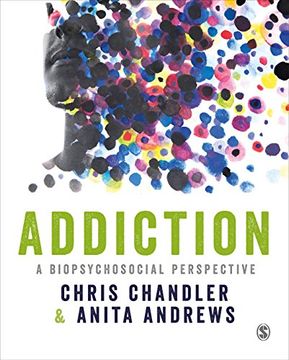 portada Addiction: A Biopsychosocial Perspective (in English)