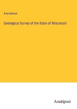portada Geological Survey of the State of Wisconsin (en Inglés)