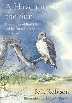 portada A Haven in the Sun: Five Stories of Bird Life and its Future on the Texas Coast (in English)