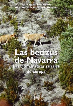 portada Las Betizus De Navarra