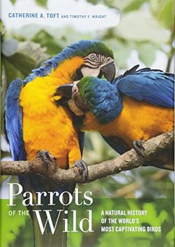 portada Parrots of the Wild: A Natural History of the World's Most Captivating Birds (en Inglés)