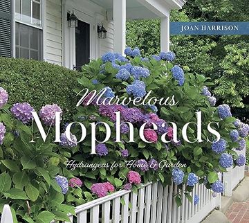 portada Marvelous Mopheads: Hydrangeas for Home & Garden (in English)