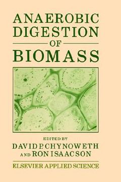 portada anaerobic digestion of biomass (en Inglés)