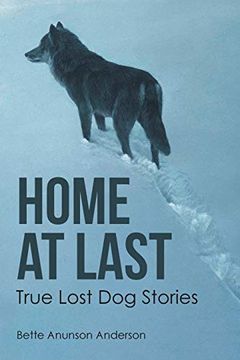 portada Home at Last: True Lost dog Stories (en Inglés)