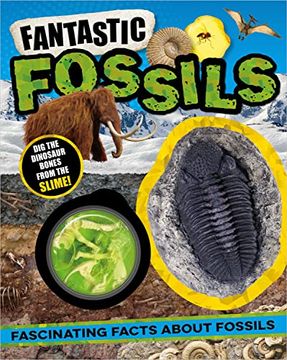 portada Non-Fiction Books Fantastic Fossils