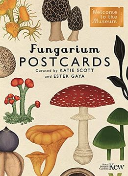 portada Fungarium Postcards (Welcome to the Museum) (in English)