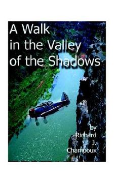 portada a walk in the valley of the shadows (en Inglés)