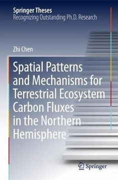portada Spatial Patterns and Mechanisms for Terrestrial Ecosystem Carbon Fluxes in the Northern Hemisphere (Springer Theses)
