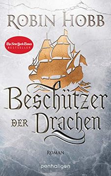 portada Beschützer der Drachen: Roman (Das Erbe der Weitseher, Band 3) (in German)