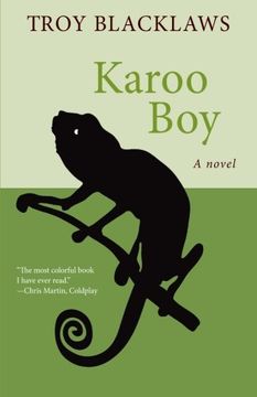 portada Karoo Boy: A Novel