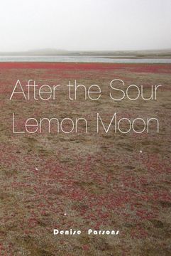 portada After the Sour Lemon Moon (en Inglés)