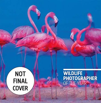 portada Wildlife Photographer of the Year: Portfolio 31 (in English)