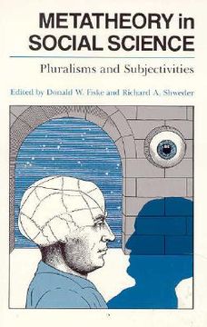 portada metatheory in social science: pluralisms and subjectivities (en Inglés)