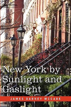 portada new york by sunlight and gaslight: a work descriptive of the great american metropolis