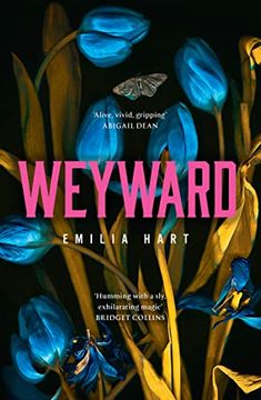 portada Weyward: Discover the Unique, Original and Unforgettable Fiction Debut Novel of 2023 That Everyone Will be Talking About