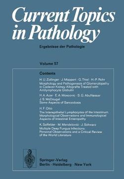 portada current topics in pathology / ergebnisse der pathologie (in English)