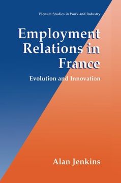 portada Employment Relations in France: Evolution and Innovation (Springer Studies in Work and Industry)
