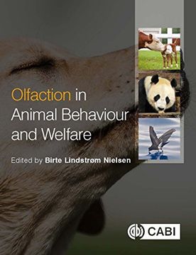 portada Olfaction in Animal Behaviour and Welfare (in English)