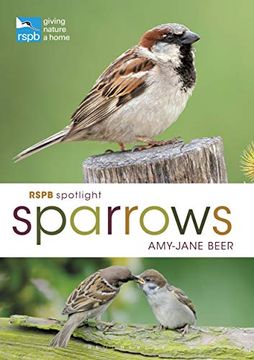 portada Rspb Spotlight Sparrows (en Inglés)