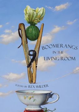 portada Boomerangs in the Living Room (en Inglés)