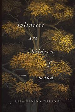portada Splinters are Children of Wood (Ernest Sandeen Prize in Poetry) (in English)