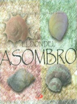 portada El don del Asombro (in Spanish)