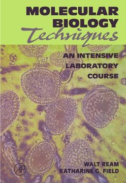 portada Molecular Biology Techniques: An Intensive Laboratory Course (en Inglés)