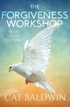 portada The Forgiveness Workshop: From Higher Self/Spirit (en Inglés)