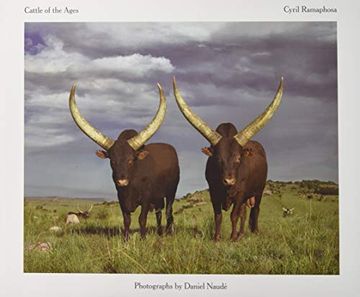 portada Cattle of the Ages: Ankole Cattle in South Africa (en Inglés)