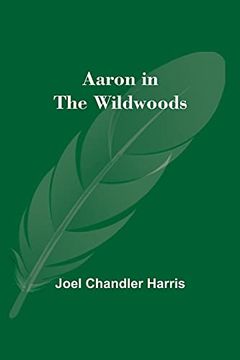 portada Aaron in the Wildwoods 