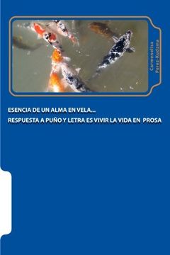 portada Esencia de un alma en vela: Respuesta a puño y letra es vivir la vida en prosa (Spanish Edition)