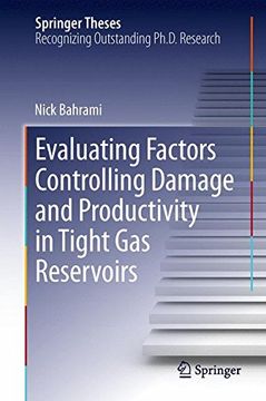 portada Evaluating Factors Controlling Damage and Productivity in Tight Gas Reservoirs (Springer Theses)