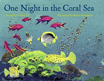 portada One Night in the Coral Sea (en Inglés)