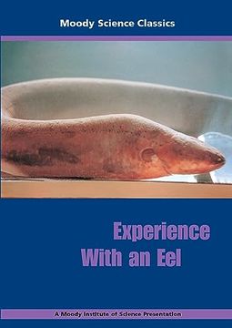 portada Experience With an eel