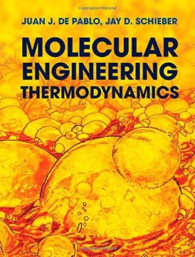 portada Molecular Engineering Thermodynamics (Cambridge Series in Chemical Engineering) (en Inglés)